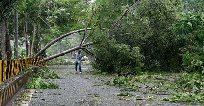 Three killed in southern India storm