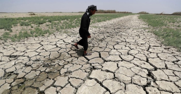 Climate change must be declared ‘global health emergency’